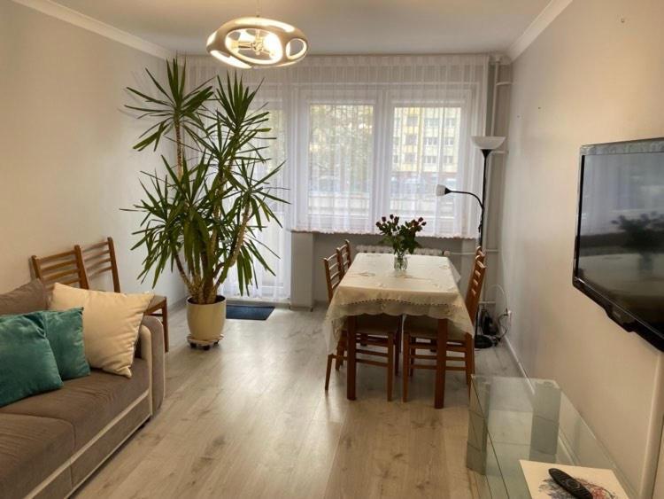 Apartament Przy Katedrze Gorzow Wielkopolski Dış mekan fotoğraf